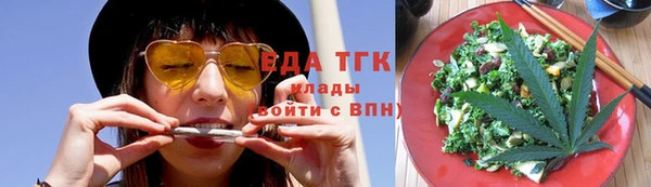 хмурый Аркадак
