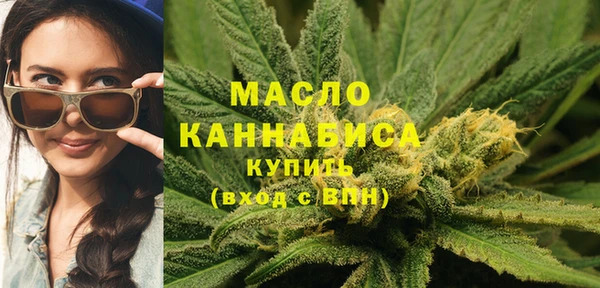 хмурый Аркадак