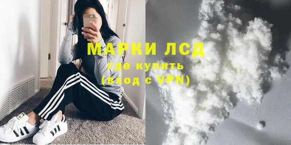 прущие грибы Алексеевка