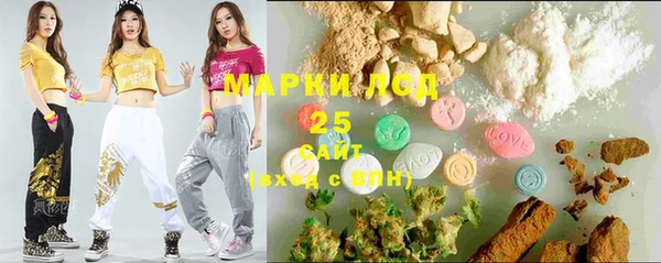 дживик Няндома