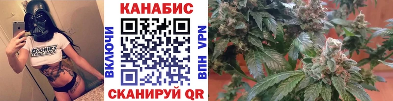 как найти закладки  Междуреченск  Каннабис сатива 